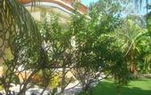 Туры в отель Villa Taman Padi