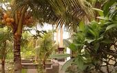 Туры в отель Villa Taman Padi