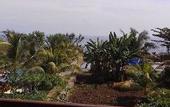 Туры в отель Villa Taman Padi