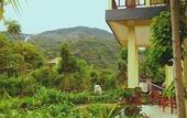 Туры в отель Villa Taman Padi