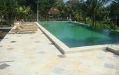 Туры в отель Villa Taman Padi
