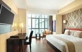 Туры в отель Best Western The Lagoon Hotel