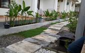 Туры в отель Palm Trees Villas
