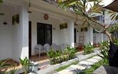 Туры в отель Palm Trees Villas