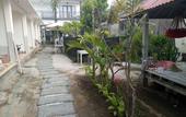 Туры в отель Palm Trees Villas