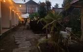 Туры в отель Palm Trees Villas