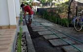 Туры в отель Palm Trees Villas