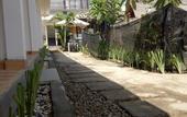 Туры в отель Palm Trees Villas