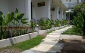 Туры в отель Palm Trees Villas