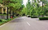 Туры в отель Puri Setiabudhi Residence