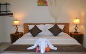 Туры в отель Master Homestay
