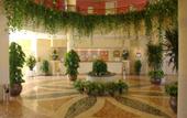 Туры в отель Luna Sharm
