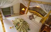 Туры в отель Hotel Shri Ganesh
