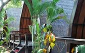 Туры в отель Omah Gili Hotel