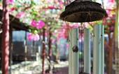 Туры в отель Omah Gili Hotel
