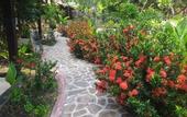 Туры в отель Omah Gili Hotel
