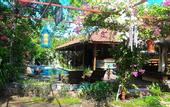 Туры в отель Omah Gili Hotel