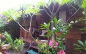 Туры в отель Omah Gili Hotel