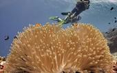 Туры в отель Omah Gili Hotel