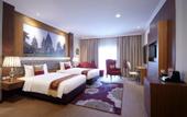 Туры в отель Ramada Suites by Wyndham Solo