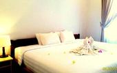 Туры в отель Dhyanapura City Hotel