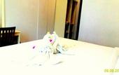 Туры в отель Dhyanapura City Hotel