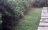 Туры в отель Bali Sari Homestay
