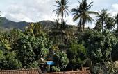 Туры в отель Bali Sari Homestay