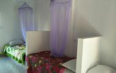 Туры в отель Bali Sari Homestay
