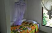 Туры в отель Bali Sari Homestay