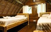 Туры в отель Ocean Prana - Hostel