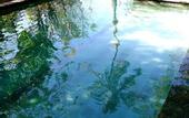 Туры в отель Ocean Prana - Hostel