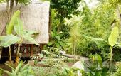 Туры в отель Ocean Prana - Hostel