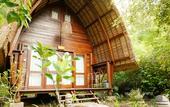 Туры в отель Ocean Prana - Hostel