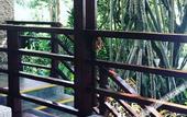 Туры в отель Club Med Bintan