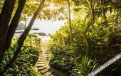 Туры в отель Club Med Bintan