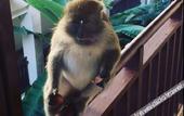 Туры в отель Club Med Bintan