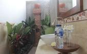 Туры в отель Eliska Sari Bungalows