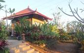 Туры в отель Eliska Sari Bungalows