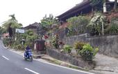 Туры в отель Puri Sunny Guest House , Munduk