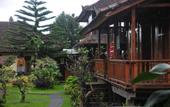 Туры в отель Puri Sunny Guest House , Munduk