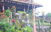 Туры в отель Puri Sunny Guest House , Munduk