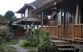 Туры в отель Puri Sunny Guest House , Munduk