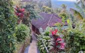 Туры в отель Puri Sunny Guest House , Munduk