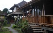 Туры в отель Puri Sunny Guest House , Munduk