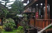 Туры в отель Puri Sunny Guest House , Munduk