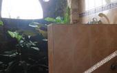 Туры в отель Puri Sunny Guest House , Munduk
