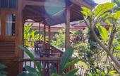Туры в отель Puri Sunny Guest House , Munduk