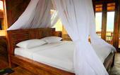 Туры в отель Puri Sunny Guest House , Munduk