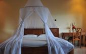 Туры в отель Puri Sunny Guest House , Munduk